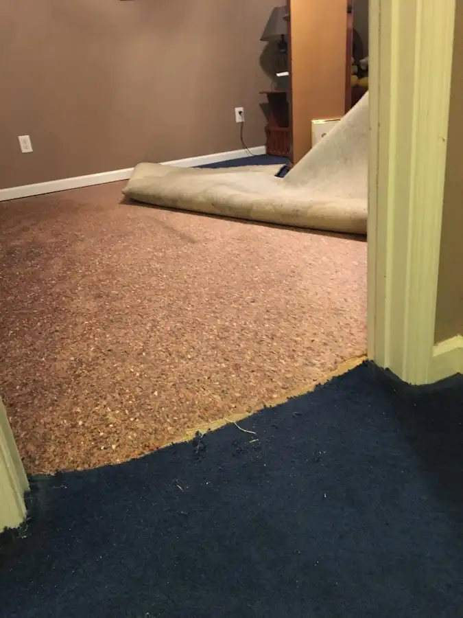 Carpet pad removal revealing water damage during Water Mitigation Services in Holdrege